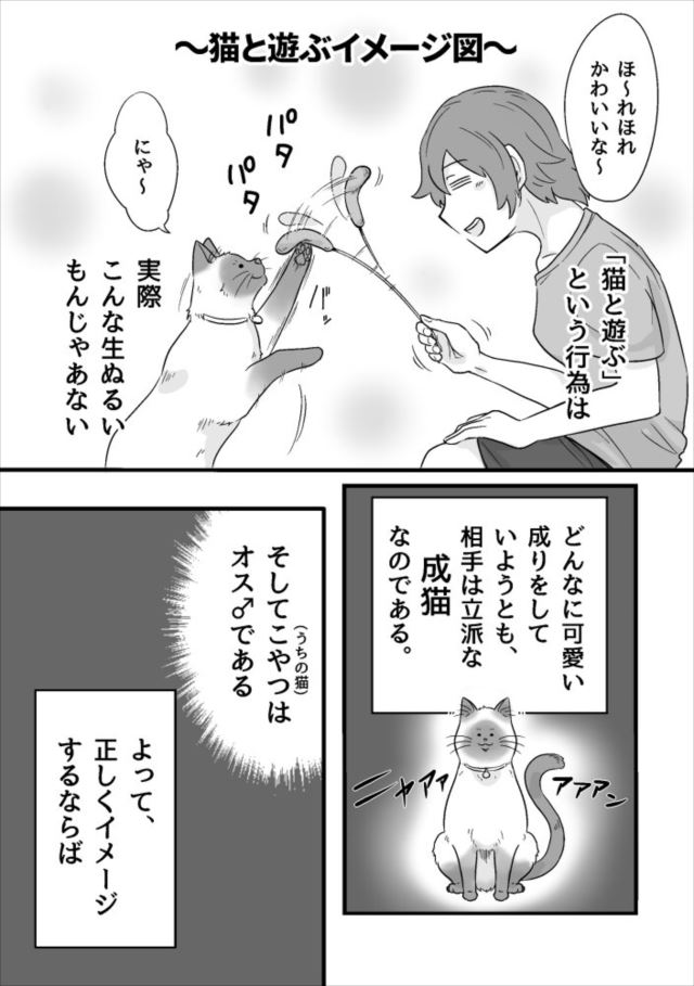 fd_cat_02