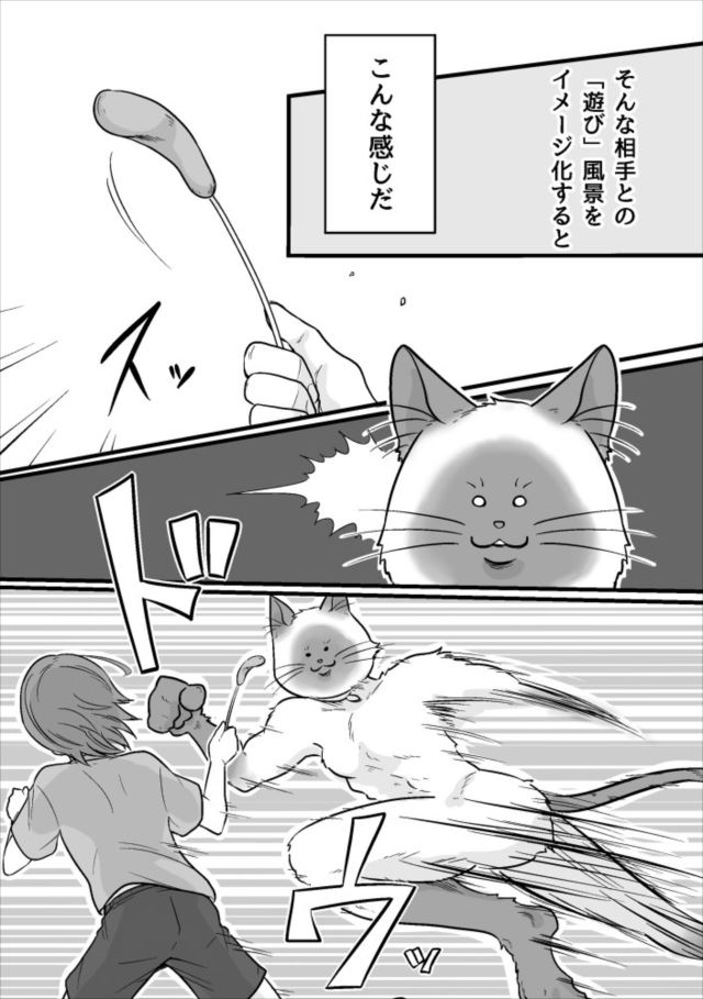 fd_cat_04