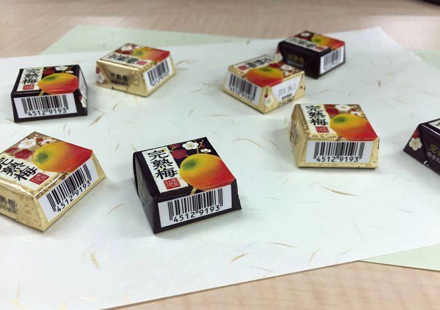 fd_ume_09