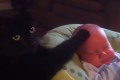 黒猫が泣いている赤ちゃんの頭を撫でて寝かせつける姿がカワイイ!