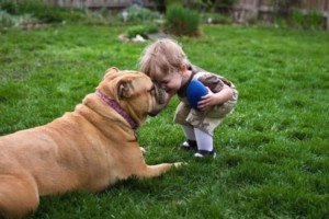 犬が私たちに教えてくれた11の大切なこと