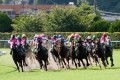 どうしてそんな名前をつけた!?オジサン、タコ、コレデイイノダなど珍名競走馬集