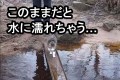 「水に濡れたくないイヤにゃ!」橋の真ん中にある水たまりをどうしても避けたかった猫の行動がオモシロイ