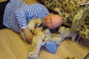 見よ！この至福の表情を。帰ってきた途端、子犬たちに囲まれるご主人様が羨ましすぎる