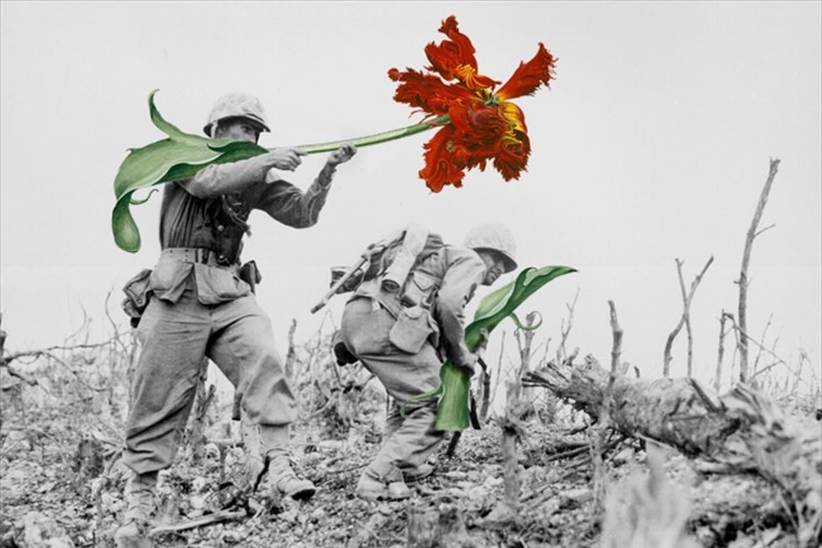 こんな世界ならいいな。武器をお花に変えてみたらとっても平和になった素敵な画像