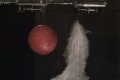 ボーリング球と羽、どちらが先に落ちるか?世界最大の真空部屋で実験してみた