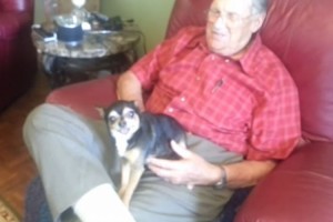 おじいちゃんは大好きだけど、苦手な人に抱えられると“ぴ～ん”と硬直しちゃうチワワがカワイイ