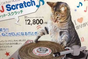 DJネコ「チェケラ！」ターンテーブル型爪研ぎがとんでもニャイと話題に！