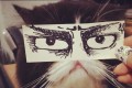 紙とペンがあればすぐにできる日本初の“猫モンタージュ”が海外でも話題に!