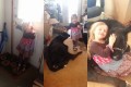 少女「ねぇ、牛を飼いたいんだけど...」部屋の中に普通に牛がくつろいでいてママもびっくり!
