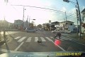 優しいネコ。横断歩道を渡るおばあちゃんを気遣って一緒に渡る