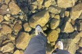 まるで水面を歩いているようだ。透明度が高すぎる氷で湖の底が丸見え