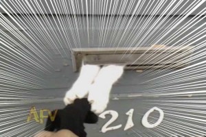 「絶対に郵便受けに入れさせニャイ！」ガチ過ぎる“猫 vs 郵便配達員”の対決