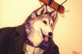 これは欲しい!動物が服を着ているように見える“動物ハンガー”が話題に!
