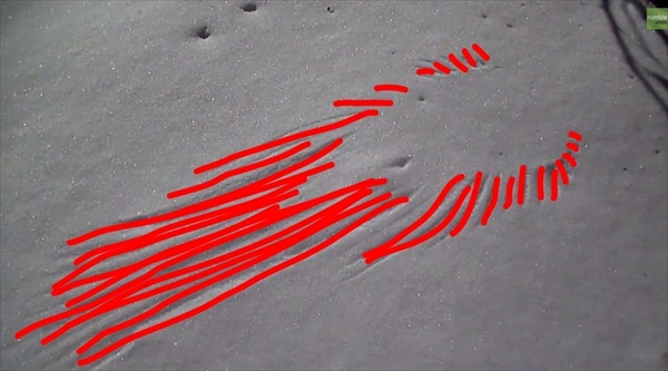 fd003087r