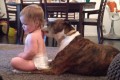 【癒し】犬に背中を舐められて気持ちいい!何度も催促する赤ちゃんがかわいい!
