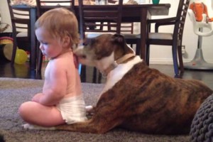 【癒し】犬に背中を舐められて気持ちいい！何度も催促する赤ちゃんがかわいい！