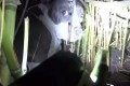 片目を失った犬を保護…しかしその場から離れようとしない理由は母性だった!