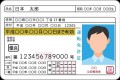 知ってると得する?「12桁の番号」など運転免許証に隠された謎