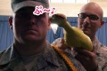 【絶対に笑ってはいけない-アメリカ空軍編】いたずらに耐えなければいけない過酷な訓練があった