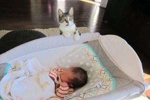 「はぁ?聞いてないんだけど!」いつの間にか家族が増えていたことを知った猫の反応がキュート