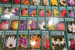 復刻に向けて歴代ジャポニカ学習帳の人気投票開始！”昆虫表紙”が復活なるか！？