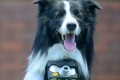 愛犬がカメラマンに！？心拍数が上がると撮影されるカメラが話題！