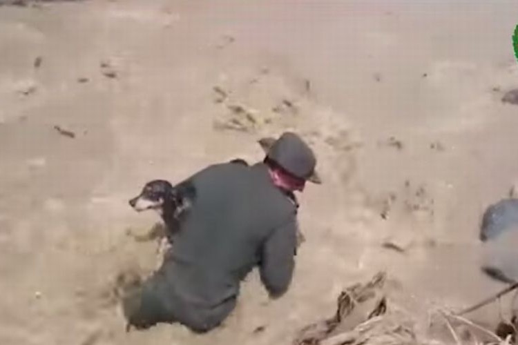 濁流に流された1匹の犬を救った警察官に世界中から賛美の声