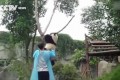 甘えん坊の子パンダ。木から降りるのは「抱っこして~」