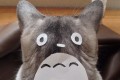 この発想はなかった…猫を一瞬にしてトロロにする方法とは!?
