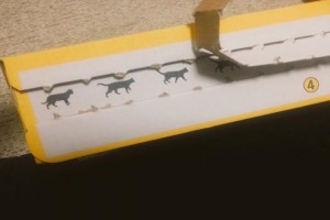 新しくなったクロネコヤマトの専用ボックスにニャンともかわいい仕掛けが