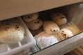 冷凍庫で飼うアザラシ?ゴハンアザラシがかわいい!