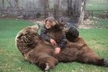 虎、サメ、ナマケモノどんな動物でもイチコロになる弱点を教えます