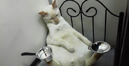 bff7300fgw1est4m4it7aj20qo0ez