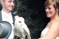 素敵！ファンタジーのような結婚式！フクロウが結婚指輪を運んでくれる
