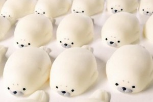 やわらかい感触が気持ちいい♪もちもちの「あざらしくん」が人気！