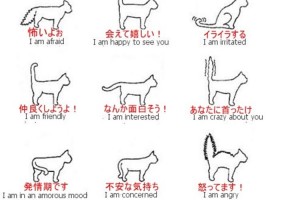 しっぽで分かる猫の気持ちを表したイラストが面白い！