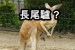 【読みが難しい動物の漢字】あなたはいくつ読めますか？