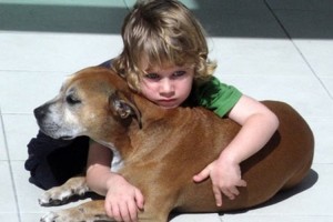 「なぜ犬の寿命は人間より短いのか？」愛犬を失った少年の回答に心が震えた