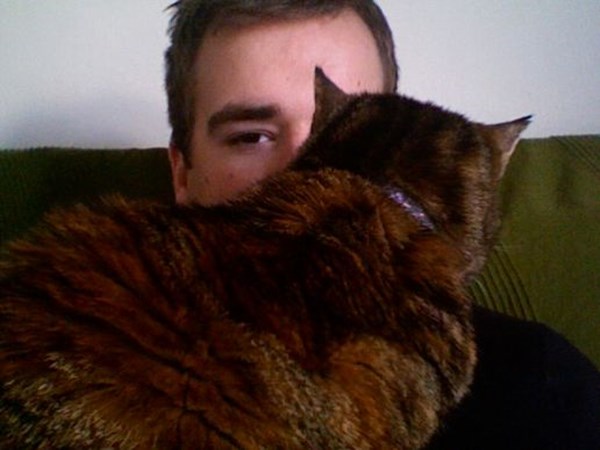 attention-seeking-persistant-catr