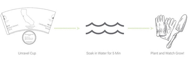 biodegradable-plantable-coffee-cup-reduce-reuse-grow-1r