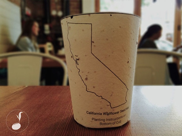 biodegradable-plantable-coffee-cup-reduce-reuse-grow-5r