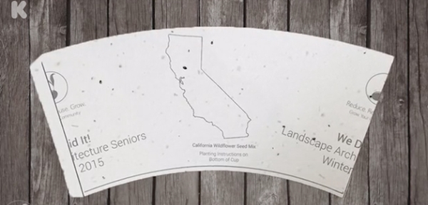 coffee-cups-plantabler