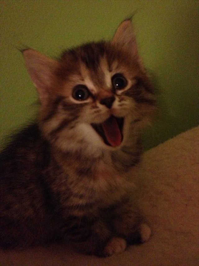 desktop-1434729777_R