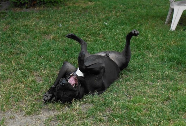 desktop-1434729800_R