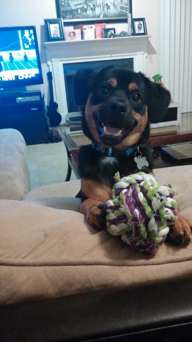 desktop-1434729822_R