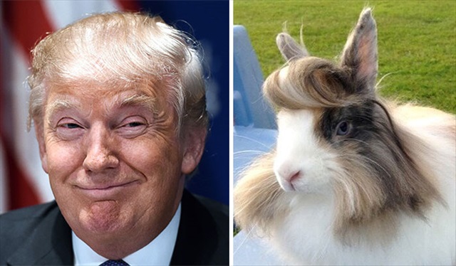donald-trump-funny-look-alike-14__700_R