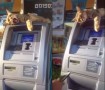 「その振込みちょっと待った!!」ATMの上で振込詐欺を防止してくれてそうな猫