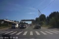 カルガモ親子のせいで大渋滞発生中!ほのぼのするけど渋滞が予想以上だった