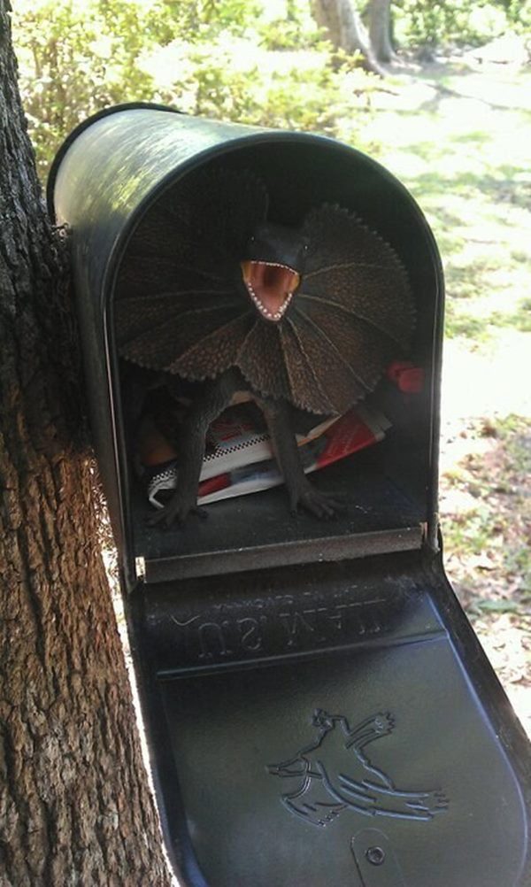 mailbox2r